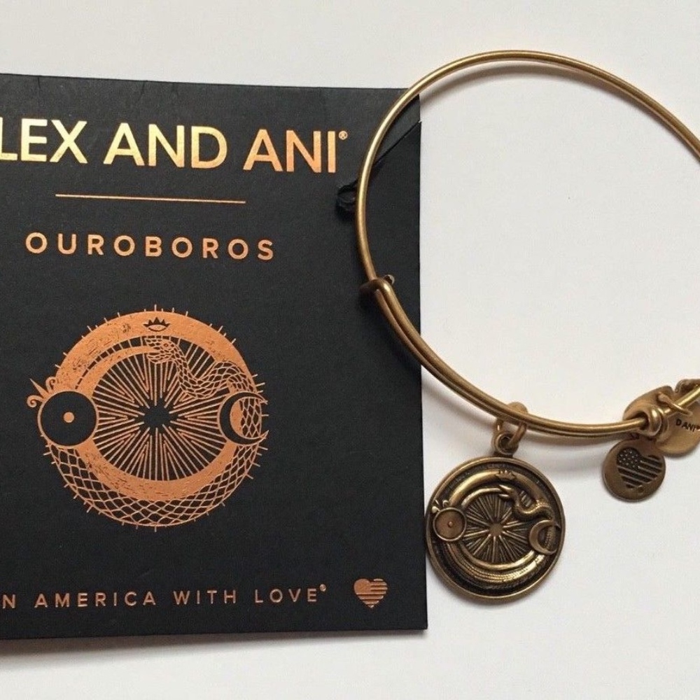 Alex and Ani Ourboros Charm Bracelet